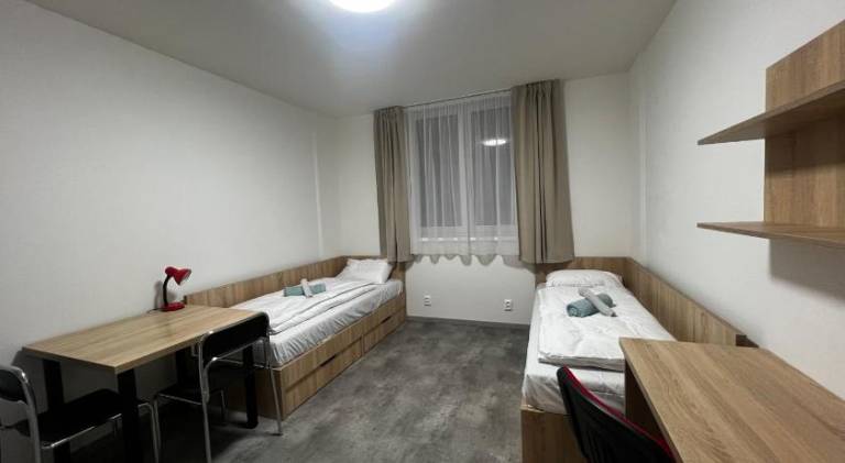 Lovely rental apartment | Good for workation | Pets are welcome — photo 4