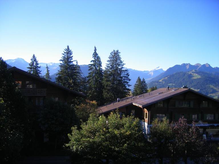 Ferienwohnung  Schönried