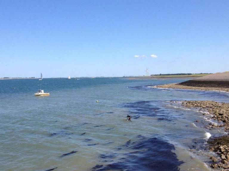 foto16
