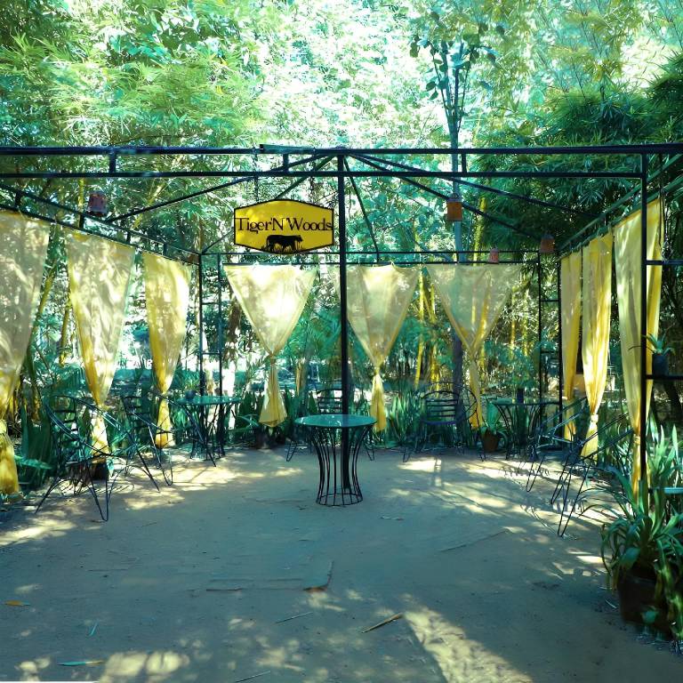 foto6