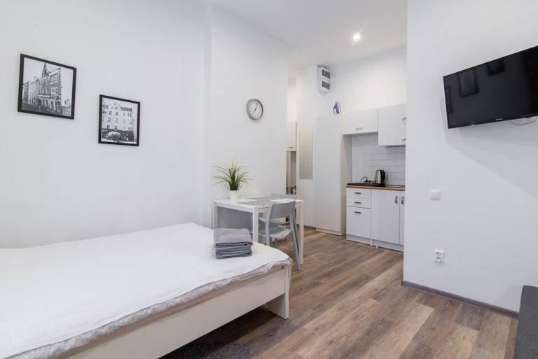 Apartment with 1 room for 4 persons — photo 4