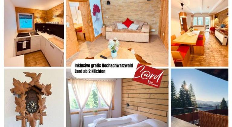 Holiday apartment | Ski nearby | Dogs allowed in Feldberg