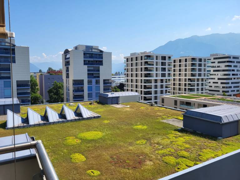 Torre Tessuti Apt. Stefano — photo 5