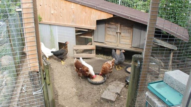 Ferienwohnung Rust