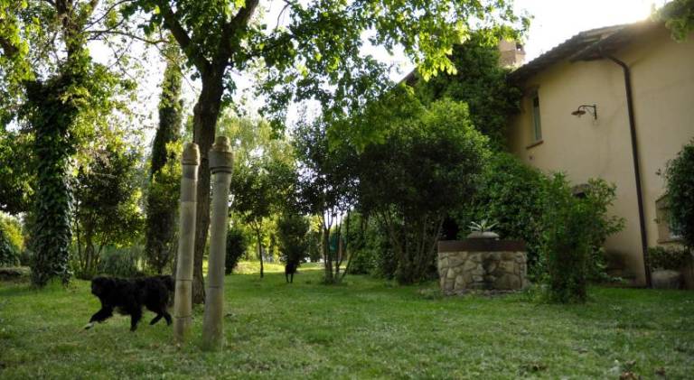 foto47