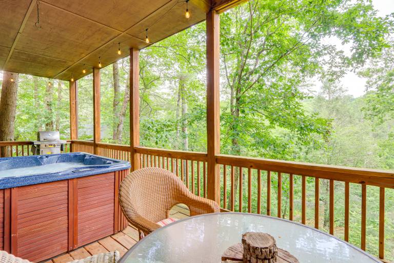 House Ellijay