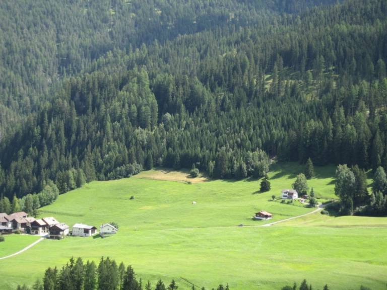 Ferienwohnung Forsthaus Falkenstein — photo 5