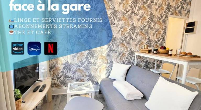 Holiday apartment | Pets allowed in Epinal