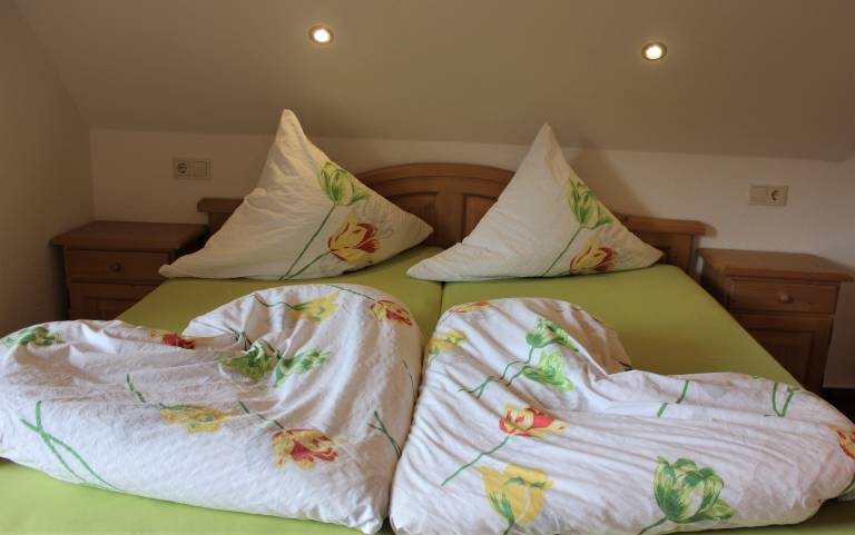 Ferienwohnung Wildgutach