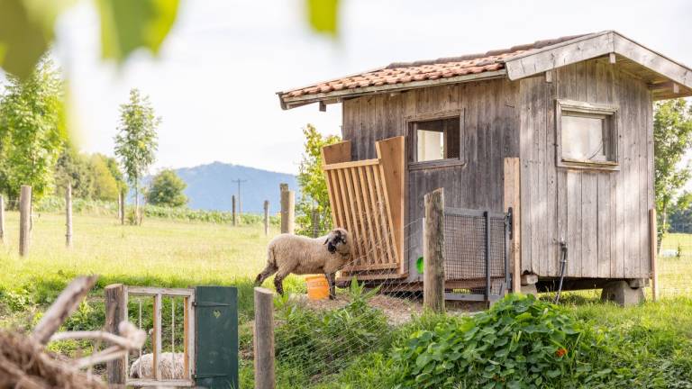 Ferienwohnung  Riedering