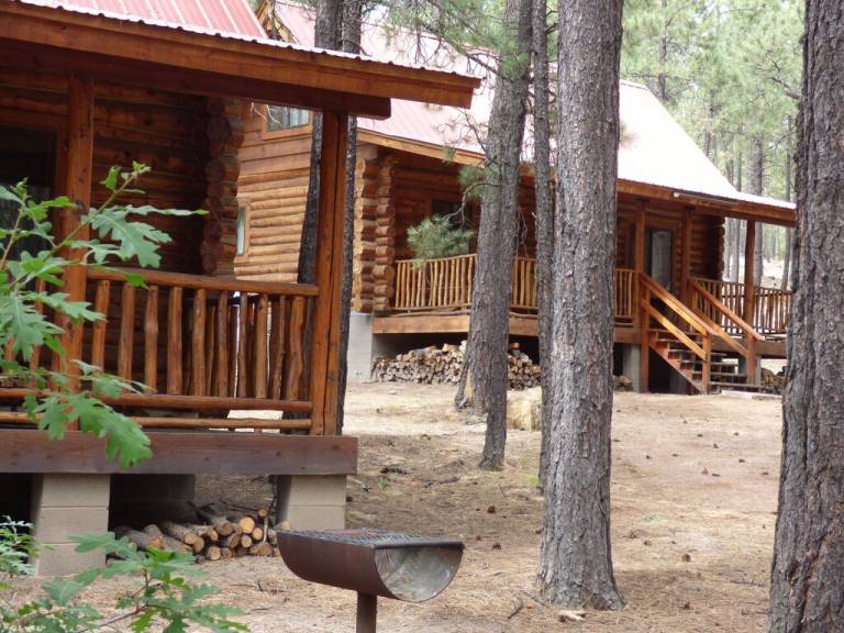 Cabin  Alpine