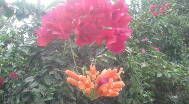 foto36