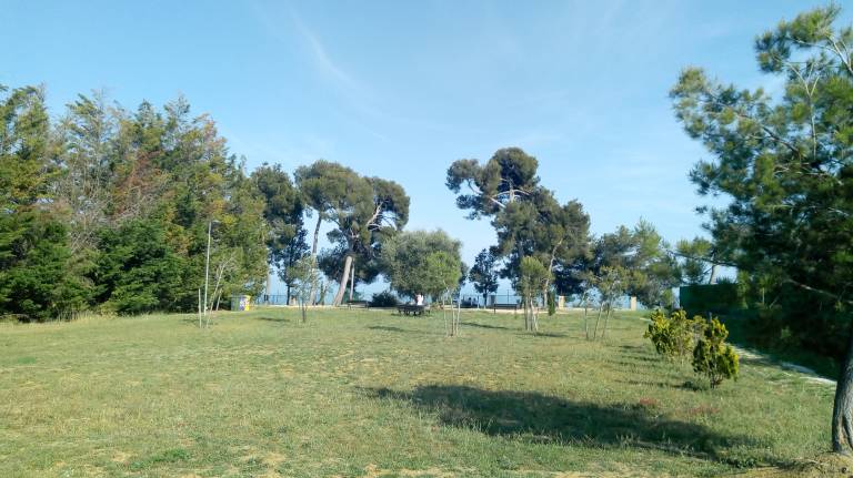 foto19