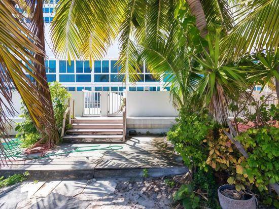 Girasole Apartments in Miami Beach, FL