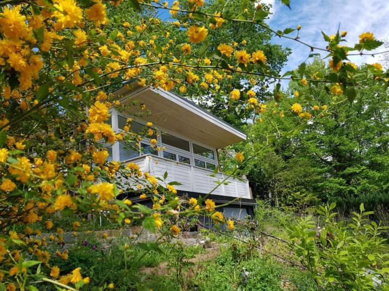 Ferienhaus Ferchesar