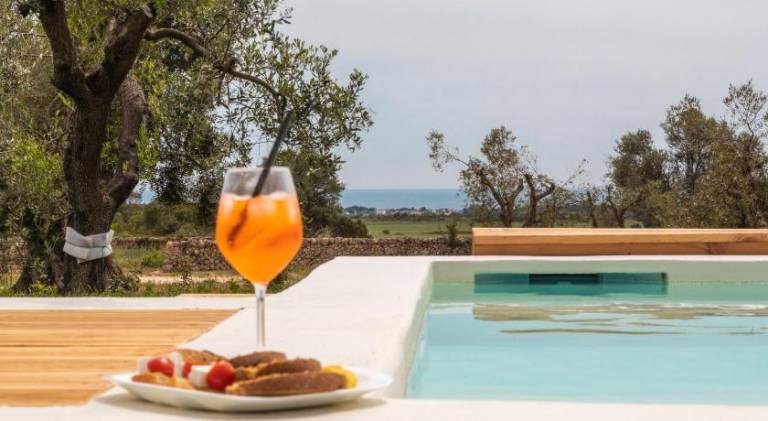 Lovely vacation home with yard, pool & terrace | Dogs allowed in Manduria
