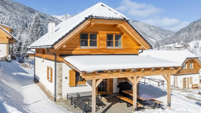 Ferienhaus  Planneralm