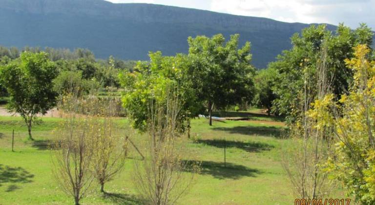 foto41