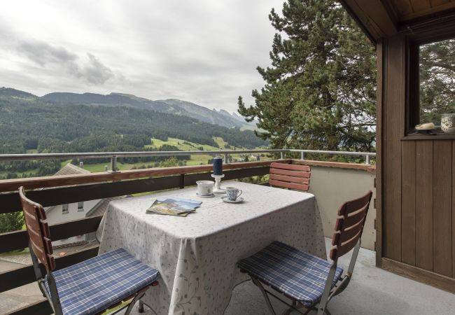 Ferienhaus Wildhaus