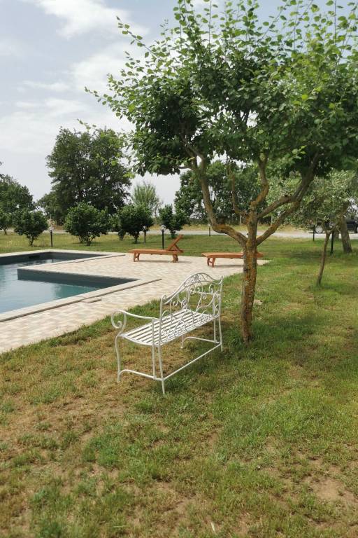 Vacation home with BBQ, yard & private pool — photo 3