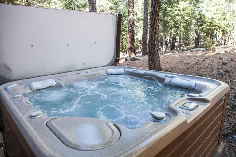 Cabin Truckee