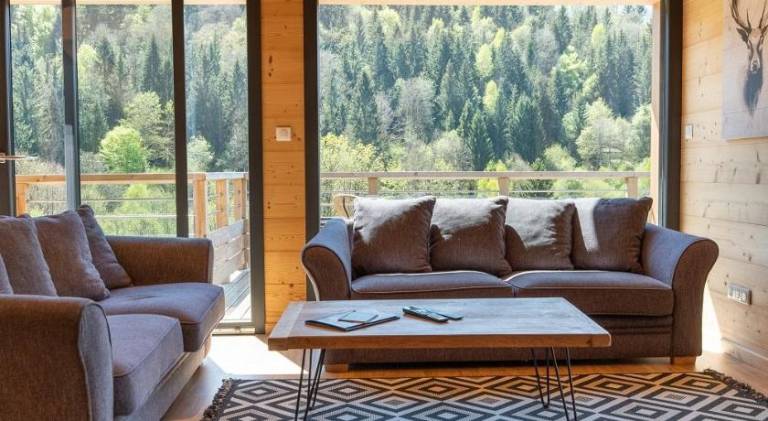 Chalet with jacuzzi | Dogs allowed — photo 3