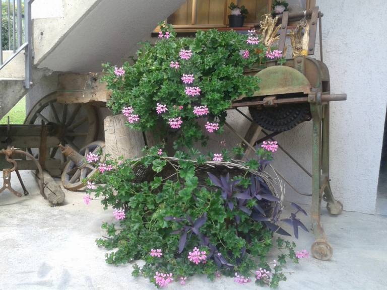 foto17