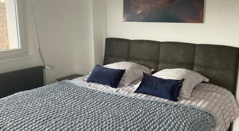 Wonderful house | Pets are welcome in Sélestat