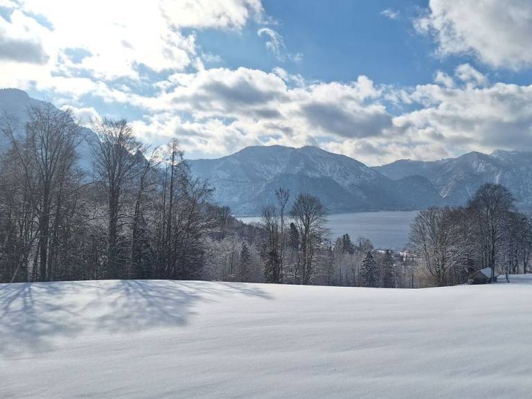 Ferienwohnung Attersee