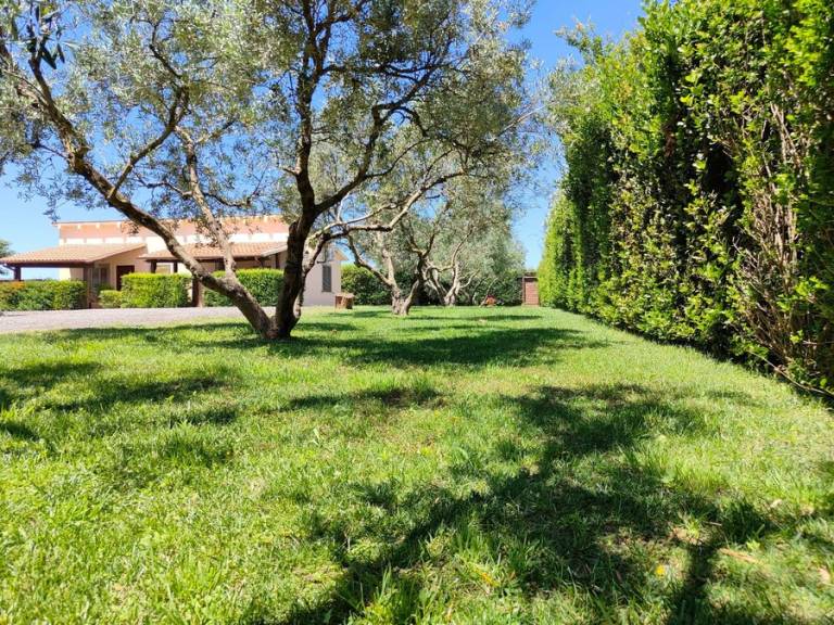 Camera privata Pescia Romana