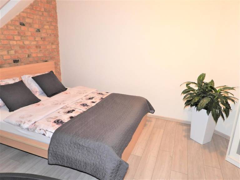 Rental apartment with 1 room for 2 persons — photo 5