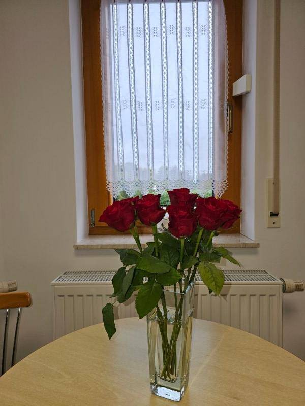 foto17