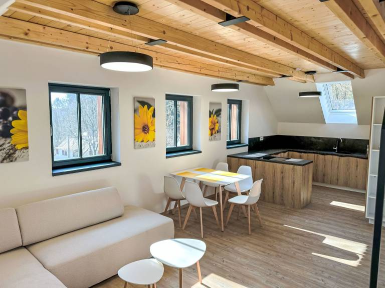 Apartmán Lázně Libverda