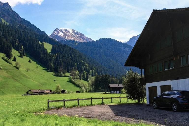 Appartement La Lenk