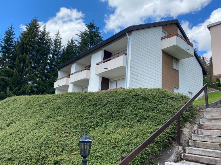 Ferienwohnung  Lenzkirch
