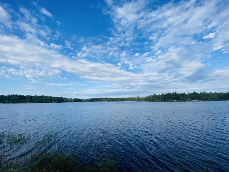 Cabin Windsor