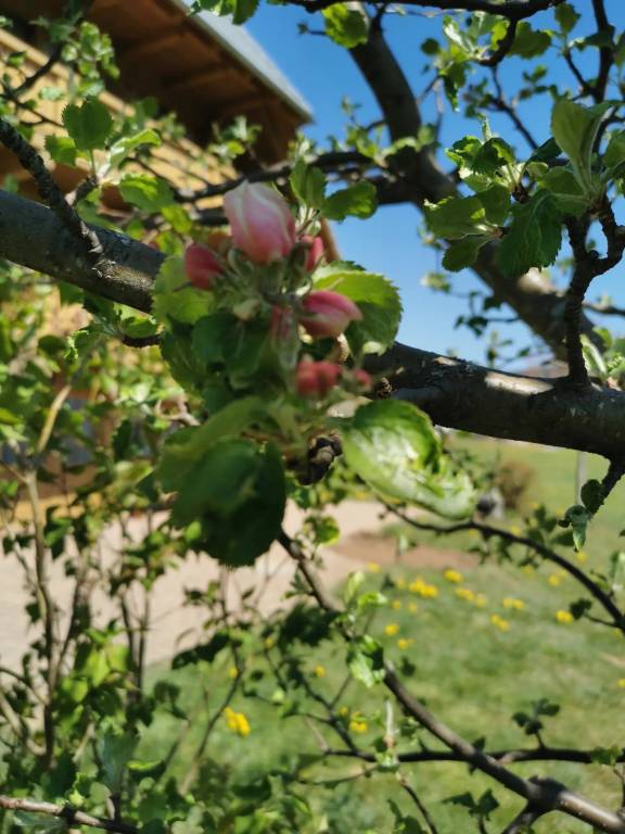 foto44