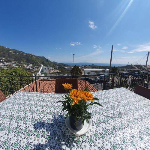 Serviced apartment  Ischia