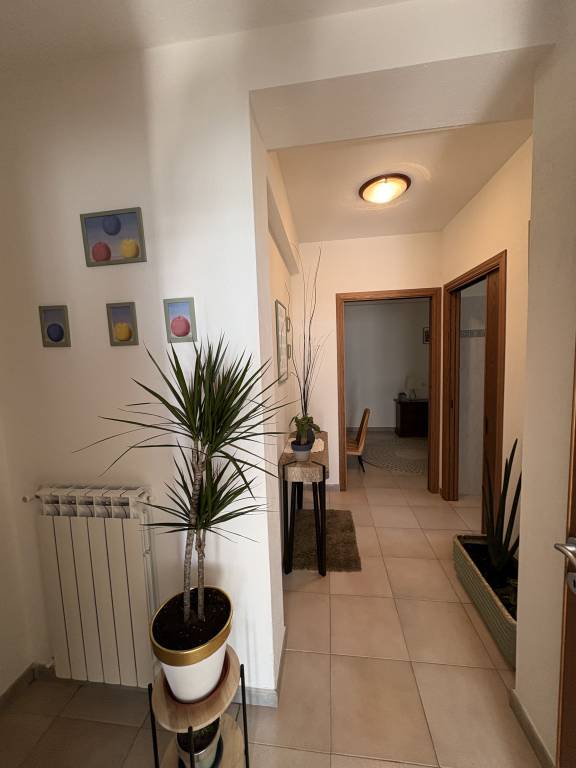 foto7