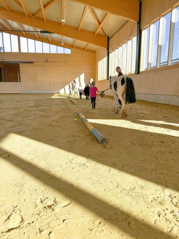 Ponywoche 2026 auf dem Hof Köhne im Sauerland — photo 5