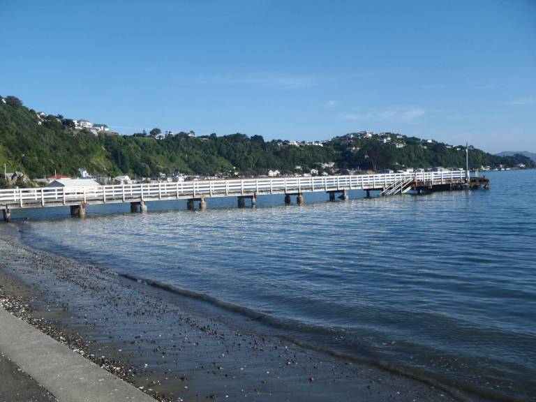 foto16