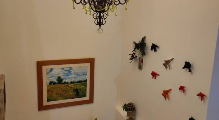 foto7