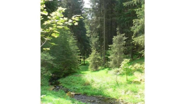 foto30