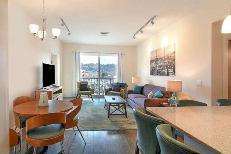Condo Asheville