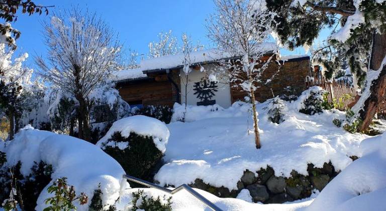 Chalet with pool — photo 5