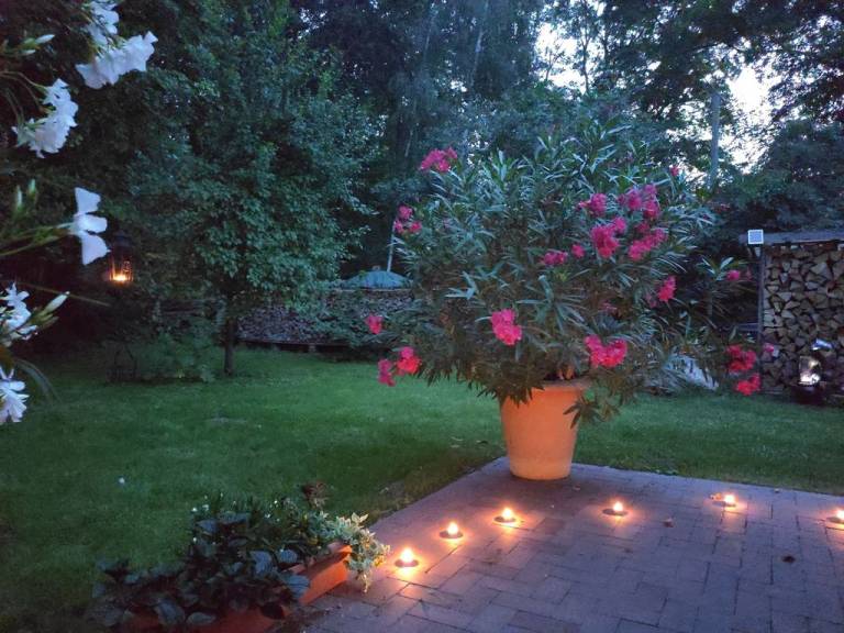 foto15