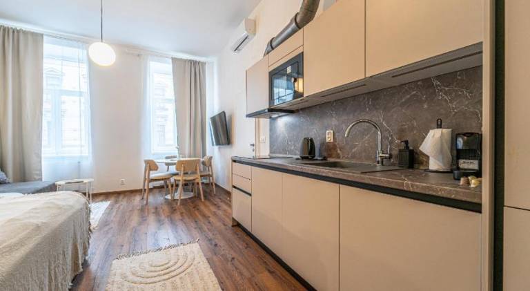 Design Apartments Luzanky — photo 3