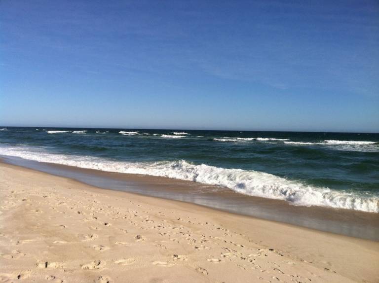 House Fire Island