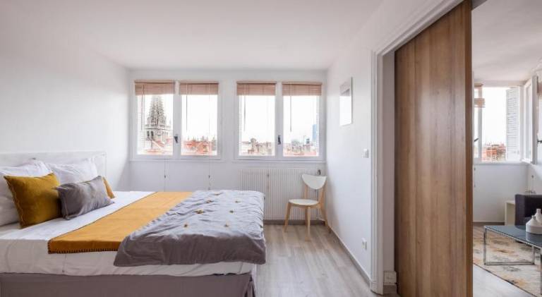 Charming rental apartment | Next to Place Bellecour | Pets are welcome in Villeurbanne