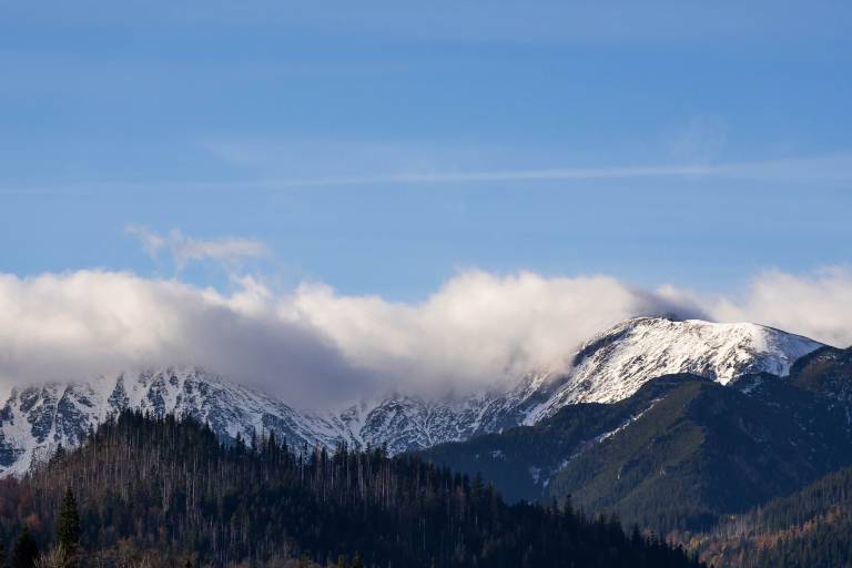 Child-friendly beautiful holiday apartment with fast internet | Mountain view | Pets allowed — photo 3